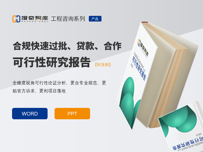 可行性研究报告（民企）